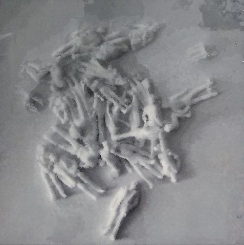 Naturalezas casi vivas IV